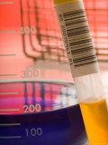 Testtube Used in Research Biotech Genome Genetics