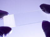 Glass Slide for Microscope for Mounting Specimens