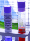Testtube Used in Research Biotech Genome Genetics