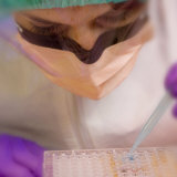 Medical Lab Scientist Using Microtiter Plate
