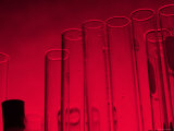 Laboratory Glassware Lab Testubes Test Tubes