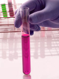 Testtube Used in Research Biotech Genome Genetics