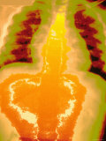 Normal Chest X-Ray
