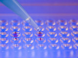 Micropipette in Experiment Transfer Samples in Lab