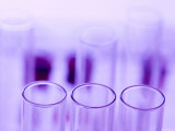Laboratory Glassware Lab Testtubes Test Tubes Blue