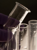 Laboratory Glassware Lab Testubes Test Tubes