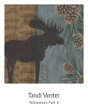 Yellowstone Park II