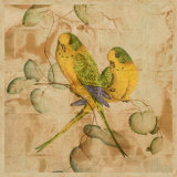 Songbirds I