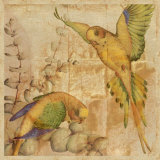Songbirds II