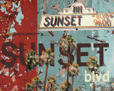 New Sunset Blvd