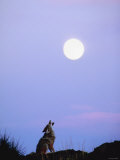 Wild Coyote Sitting in Nature and Howling at Full Moon