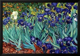 Irises  Saint-Remy  c1889