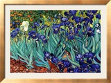 Irises  Saint-Remy  c1889