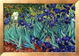 Irises  Saint-Remy  c1889