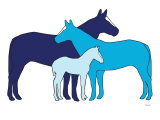 Blue Herd