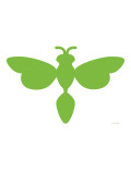 Green Dragonfly
