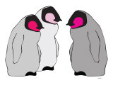 Pink Penguins