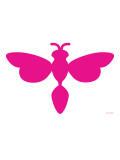 Pink Dragonfly
