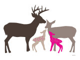 Pink Deer