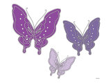 Purple Butterfly