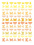 Orange Insects