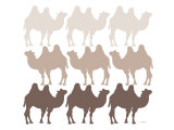 Brown Camel Family
