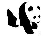 White Panda