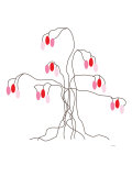 Pink Willow