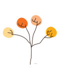 Orange Grove