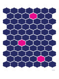 Navy Pink Trellis