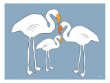 Blue Famingo