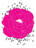 Fushia Peony