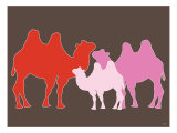 Pink Camel