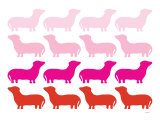 Pink Daschund Family