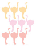 Multi Ostrich Family