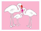 Pink Flamingo