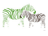 Green Zebra