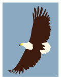 Blue Eagle