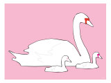 Pink Swan