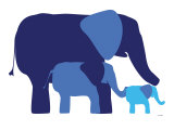 Blue Elephants