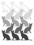 Black Cats
