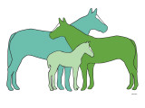 Green Horse Herd