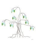 Green Willow