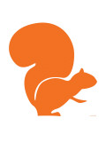 Orange Squirrel