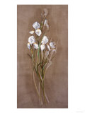 Elegance of Springtime III