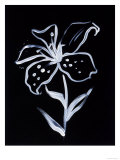 Shadow Lily