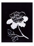 Shadow Chrysanthemum