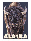 Alaska  Bison Up Close