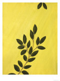 Leaves on Green