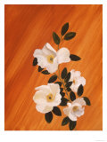 Blossoms on Orange